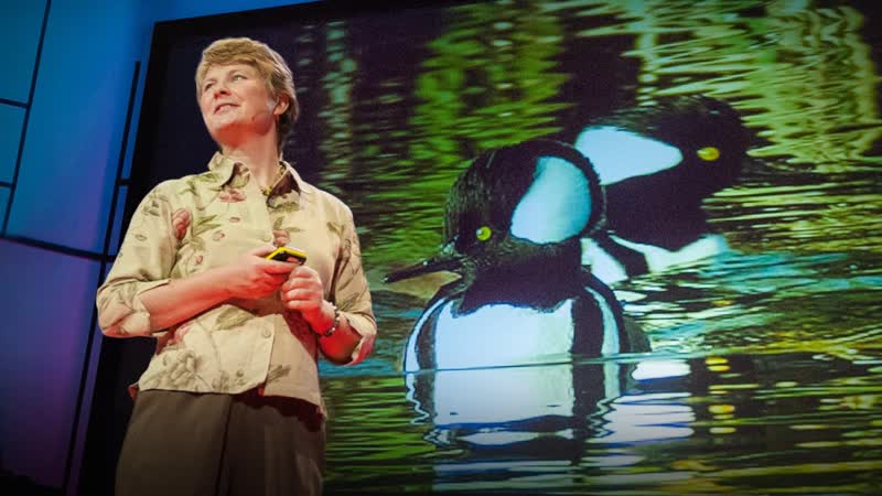 Biomimicry in action, Janine