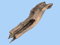 Tree Stump 1b - Seasonal