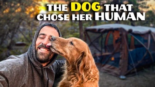 Dog Adopts Hiker on a Camping Trip - Heartwarming Video