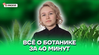 Всё о ботанике за 40 минут | Биология ОГЭ 2022 | Умскул