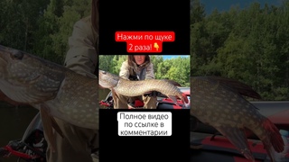 ШУСТРАЯ ЩУКА ПОПАЛАСЬ!