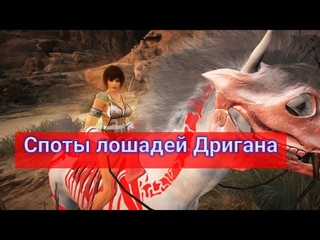 Споты лошадей Дригана (BlackDesert,БДО) Новинка!