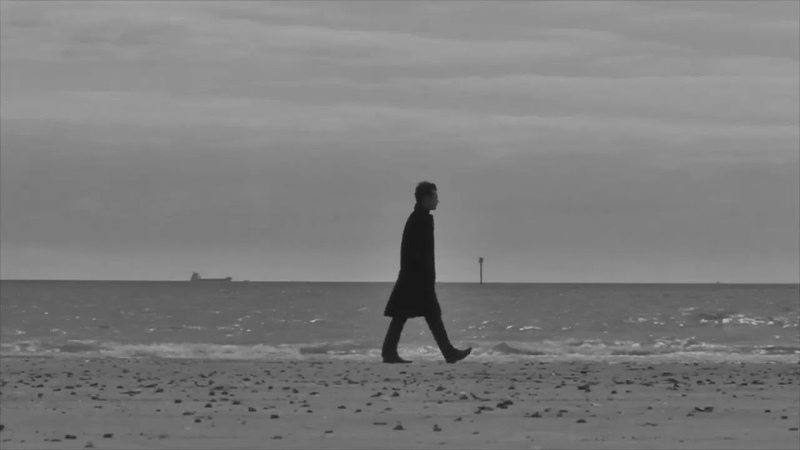 The big spider and the little fly текст. The spider and the fly alex who. Alex who. Alex who the spider and fly. The big spider and the little fly текст.