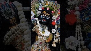 Jai Shree Krishna Govind Bhajan l Jai Radhe Radhe Krishna  l Jai Shree Krishna l Jai Shree Krishna l