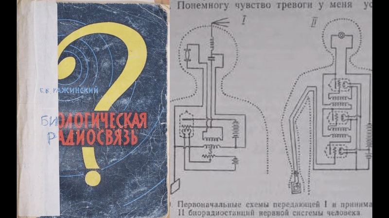 Биологическая радиосвязь, Кажинский Б. Б. Способность