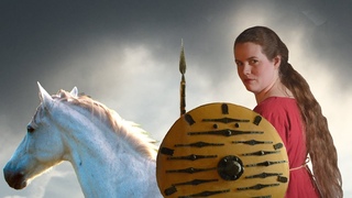 Authentic Valkyrie Hairstyle
