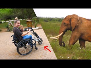 Can you Safari in a Wheelchair! - Motorized Chair Mod!