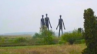 На Видеорегистратор Сняли Такое, Что Никто не Должен Был Увидеть! Топ 10