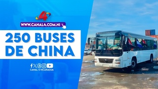 Llegan a Puerto Corinto 250 buses para el transporte público procedentes de China