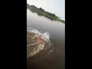 Трофейчик  #ВИДОСЫFisherManNIZHNEVARTOVSK#рыбалка