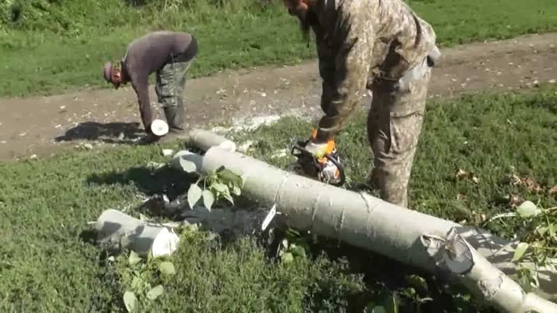 Три тополя повалены с трудом. Готовится их распиловка. 07. 08.