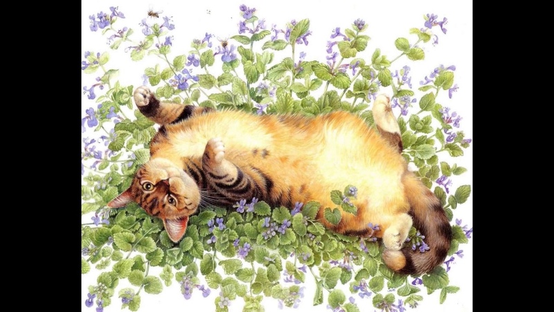 Художница Лесли Энн Ивори ( Lesley Anne Ivory).