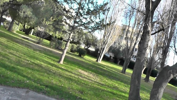 JJRC H9 D first outdoors test ( Courtesy