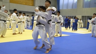 Elite Collage Judo Practice in Japan at Nittai University | Day 3 of The Japan Judo Camp & Tour