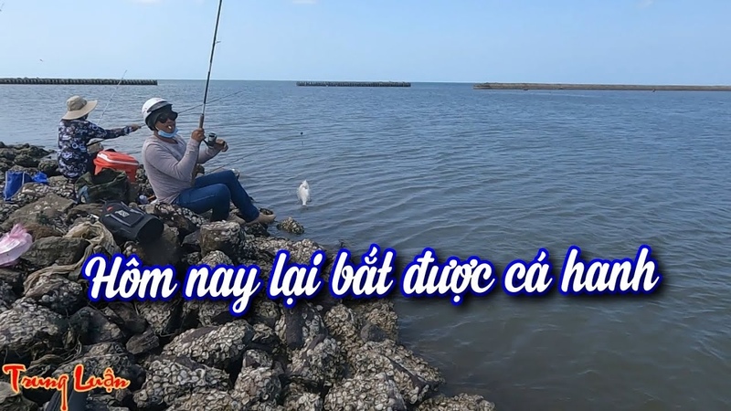 Câu cá biển Tập 18: Đê biển tây lại xuất hiện cá hanh