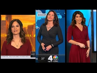 The FIRM-LaRosa Scala Darlene CASE-What Can Brwn Reds Do 4U