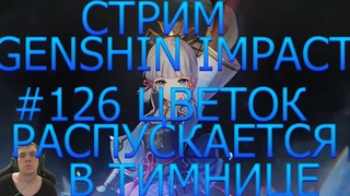 стрим прохождение genshin impact  часть # 126 цветок распускается в темнице