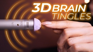 ASMR Deep 3D Brain Penetrating Tingles for Sleep(No Talking)