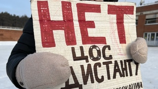 ДИСТАНТ - ОБРАЗОВАНИЕ ОБЩЕСТВЕННОЕ ДЕГРАДАЦИЯ ПИКЕТ ЕКАТЕРИНБУРГ ПОЛИЦИЯ ЗАДЕРЖАЛА ДВУХ УЧАСТНИКОВ