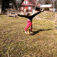 Юлия Шаврина |