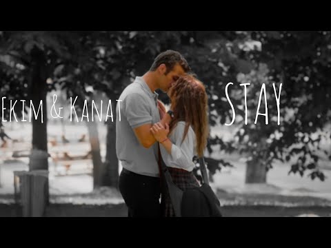 Ekim ve Kanat Stay ( English