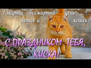 1 Марта  Первый день Весны  Всемирный день кошек