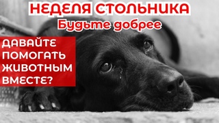 Парень сирота - инвалид сбежал из рабства , мы помогаем не только животным , и неделя стольника 🙏