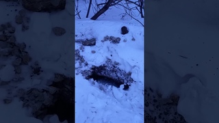 SOS! Новый провал грунта в Уфе у дома 193/2 на ул.Интернациональной! ☠️
