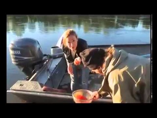 Орел и Решка 7 10 Выпуск Назад в СССР Камчатка