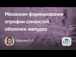 Печень и желудок. Стеатоз печени  фактор атрофии слизистой оболочки желудка. Возможности терапии