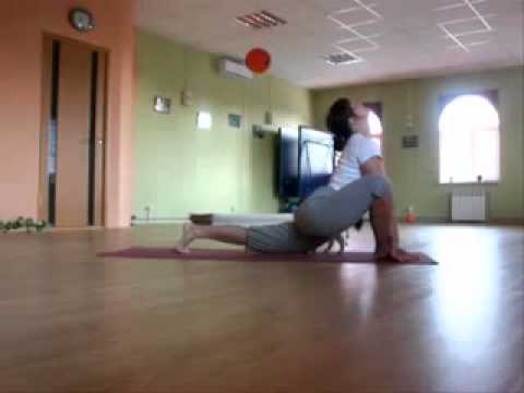 Sun Salutation with cat ( Surya