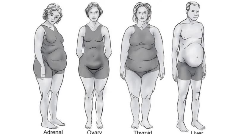 What If I Have a Mixed Body Type: What Do I