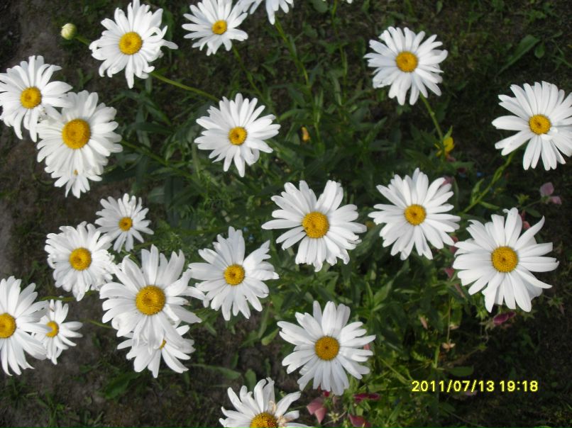 Татьяна Рахманова | Тверь