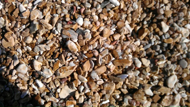 Катя Шереметева ***Grenouille heureuse*** | Nice