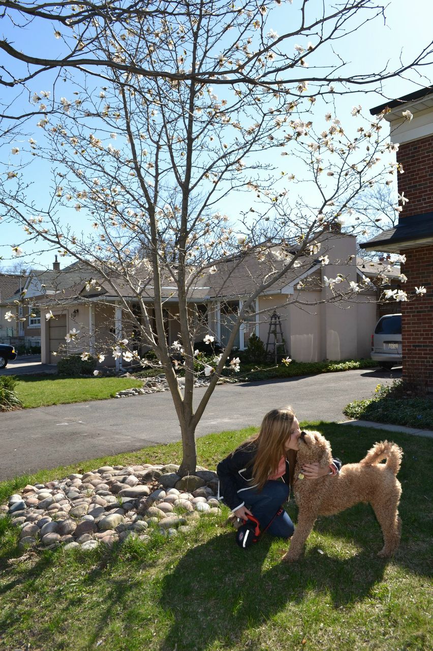 Маша Митькина | Toronto