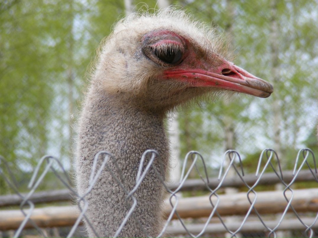 Костя Белоусов | Санкт-Петербург