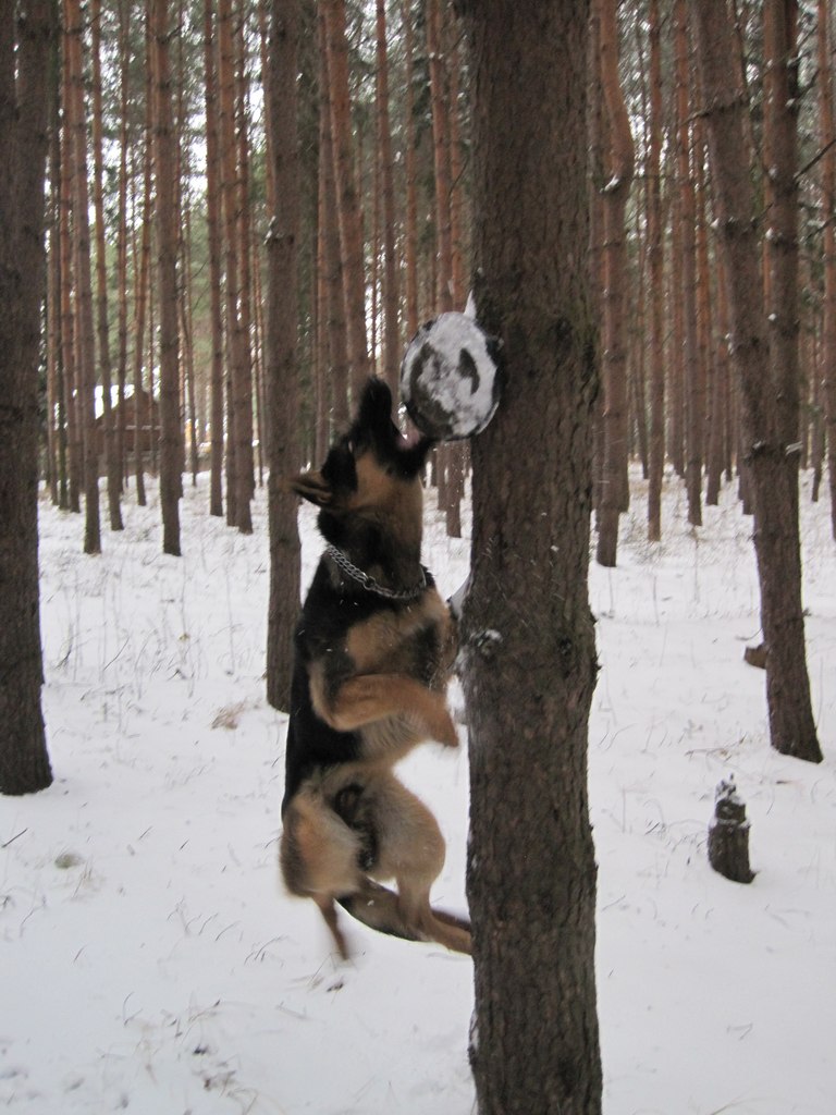 Евгений Барсуков freeone | Клин