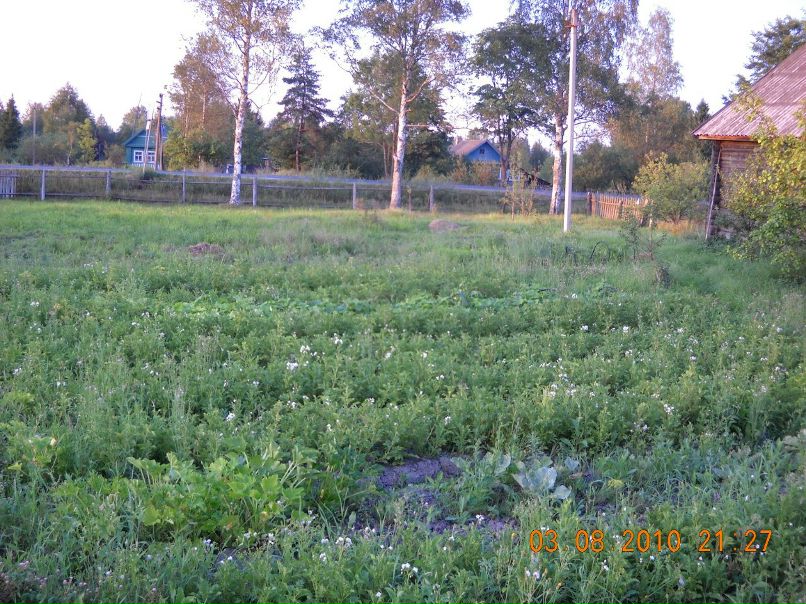 Татьяна Казанцева | Санкт-Петербург