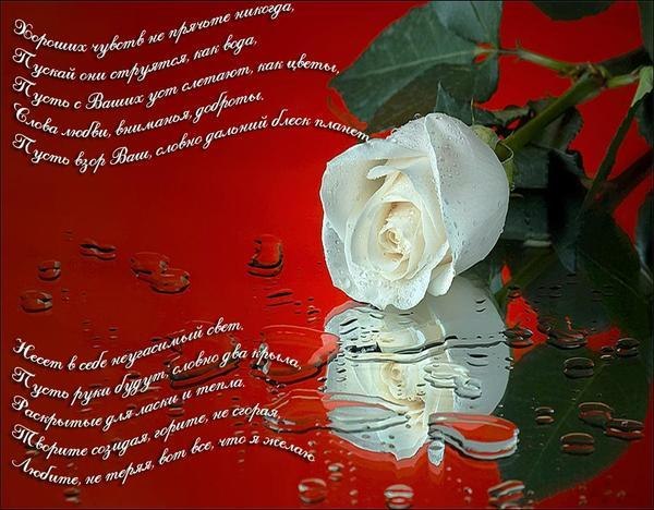 Дмитрий Бочагов | Санкт-Петербург