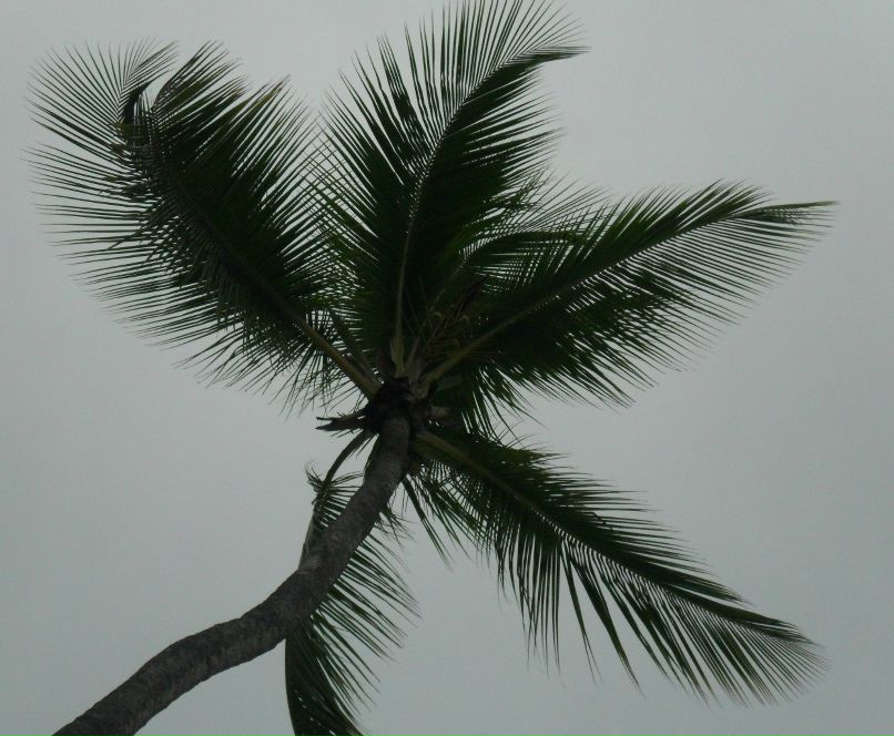 Оксана Сазонова | Москва