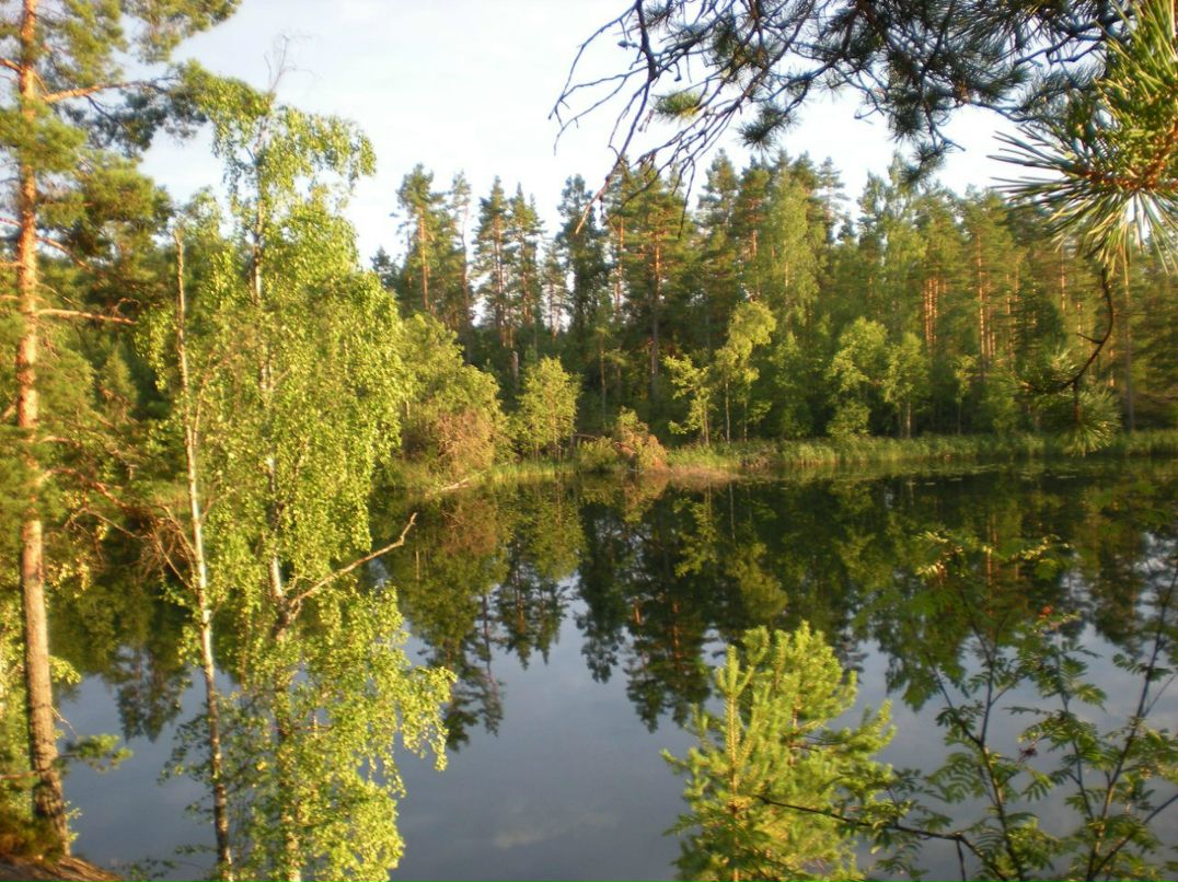 Ольга Ямщикова | Колпино