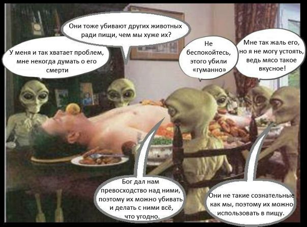 №171, Полина Рожкова №171, Полина Рожкова