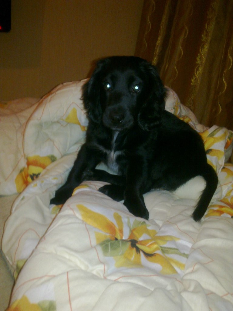 Марина Бобкова-Бессонова | Москва