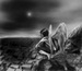 Твой Ангел фотография #3 (источник - https://vk.com/id136372331)