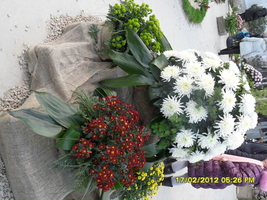 Инна Ахтименко | Калуга