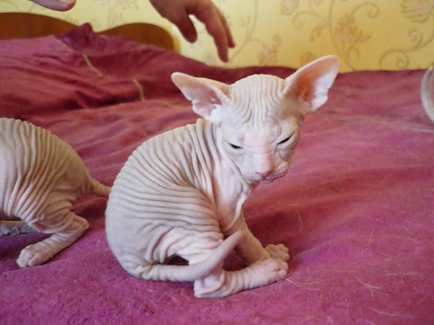 Надежда Иванова | Иркутск