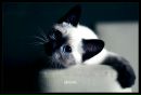 №19 Ирина Лескина 06.06.1999: профиль, фото, статус - ВКонтакте