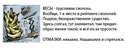 Софья Павлова, Москва, Россия, 