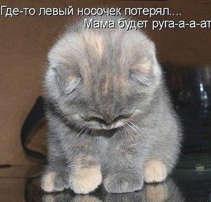 Алёна Шушакова | Симферополь