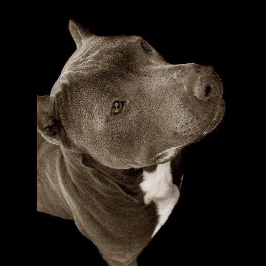 Амир Амиров | Уфа